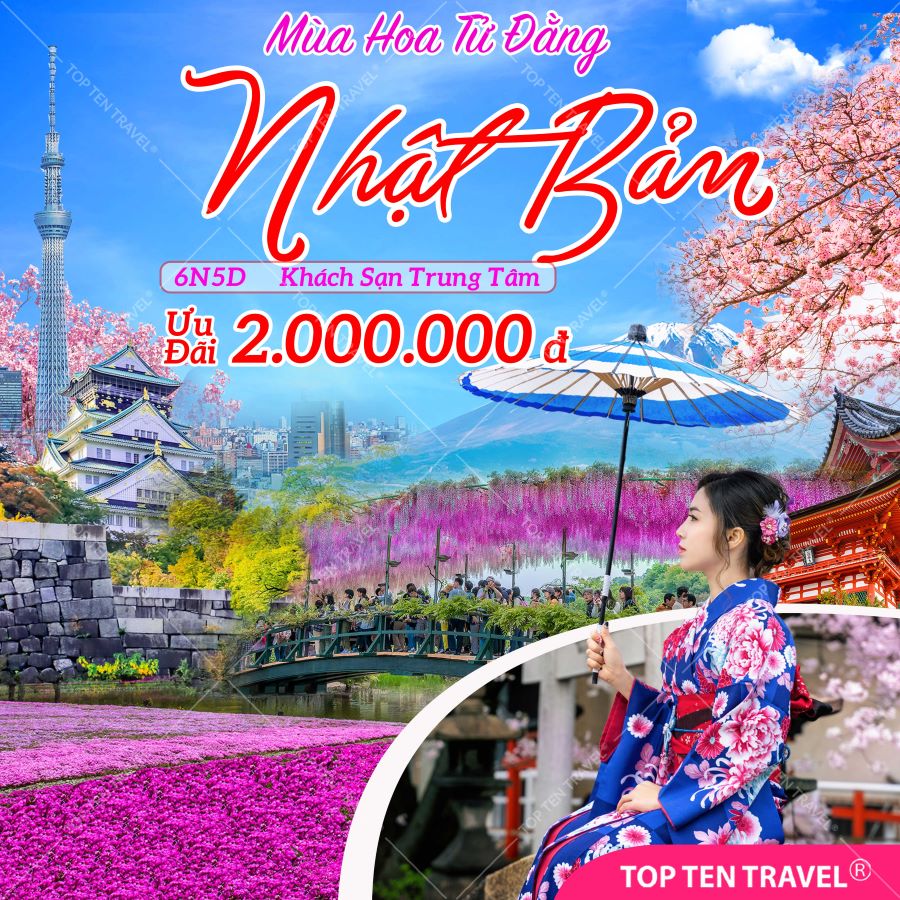 Tour Nhật Bản Ngắm Hoa Tử Đằng: Osaka - Kyoto - Nagoya - Tokyo - Fuji 6N5D