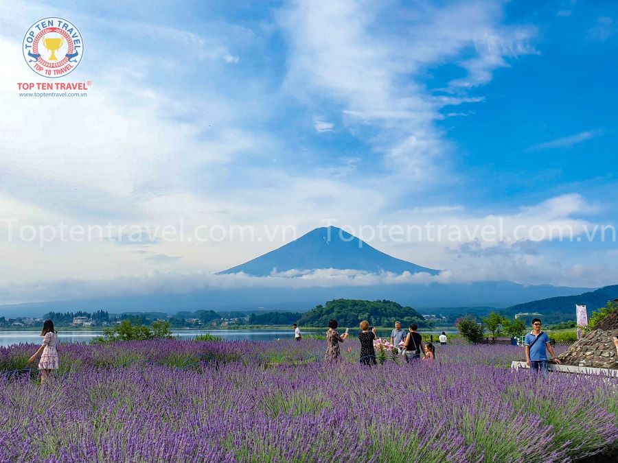 Tổng hợp những tour du lịch Nhật bản xuất phát từ TP Hồ Chí Minh