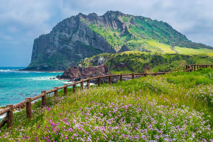 Kinh nghiệm du lịch đảo JeJu Hàn Quốc mùa thu