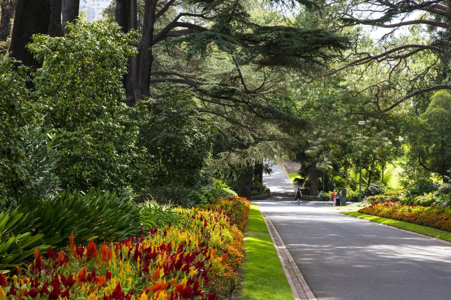 Vườn thực vật Fitzroy Garden - điểm dừng chân lý tưởng dành cho những ai muốn được hòa mình vào thiên nhiên 