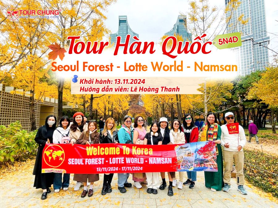 Tour Hàn Quốc ngắm tuyết: Seoul - Nami - Everland 5N4D