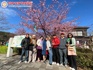 Tour Nhật Bản Ngắm Hoa Tử Đằng: Osaka - Kyoto - Nagoya - Tokyo - Fuji 6N5D