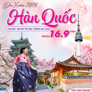 Tour Hàn Quốc du xuân 2025: Seoul - Nami - Everland 5N4Đ 