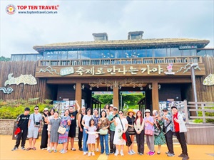 Tour Hàn Quốc Mùa Thu : Seoul Forest - Lotte World 5N4D