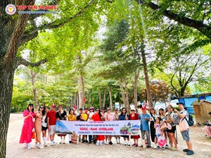 Tour Hàn Quốc Mùa Thu : Seoul Forest - Lotte World 5N4D