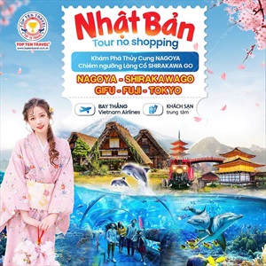 Tour Nhật Bản Ngắm Hoa Anh Đào: Nagoya - Gifu - Shirakawa Go - Fuji - Tokyo