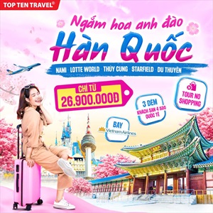 Tour Hàn Quốc No Shopping: Nami - Namsan - Lotte World - Starfield 5N4D